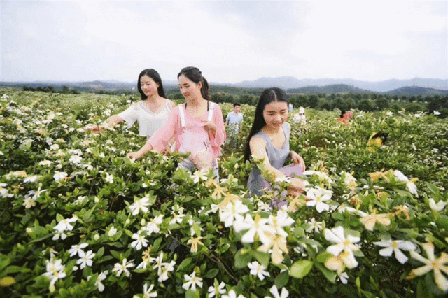 【神都诗社】第027期《栀子花》（图6）