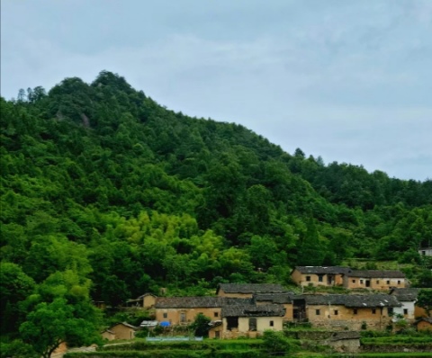 酷暑难熬（外三首）文／山乡（湖北）【冰心文化传媒】（图4）