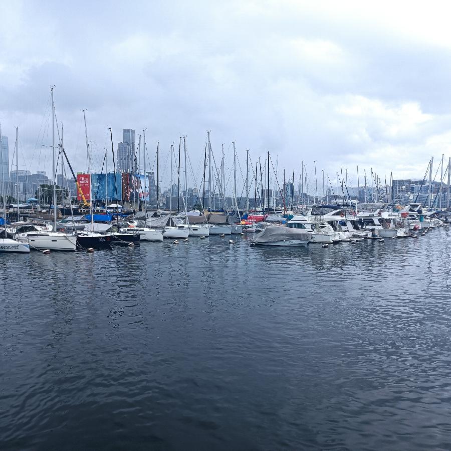 铜锣湾避风塘（图36）