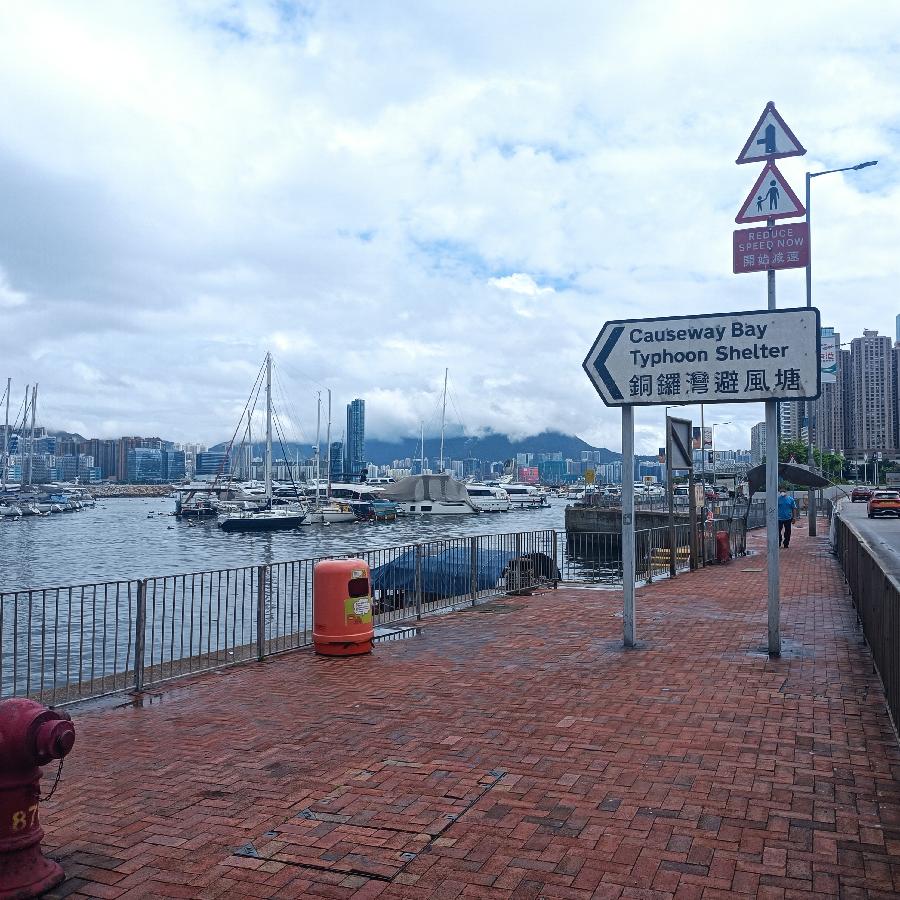 铜锣湾避风塘（图39）