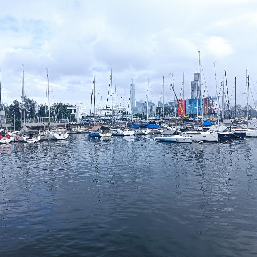 铜锣湾避风塘（图41）