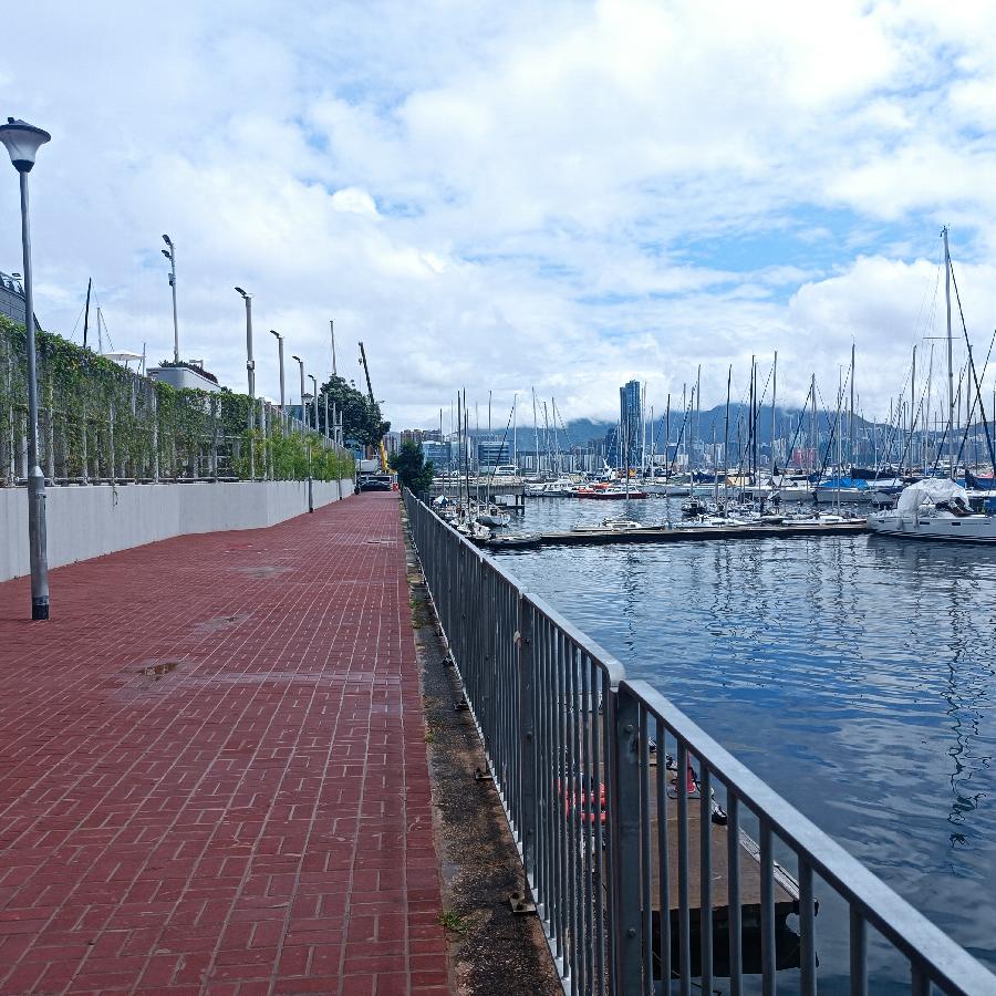 铜锣湾避风塘（图66）