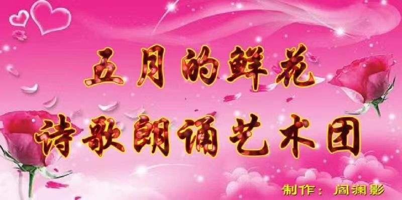 刘林丽诗歌作品183期《开在春风里的花》主播 金山 刘林丽