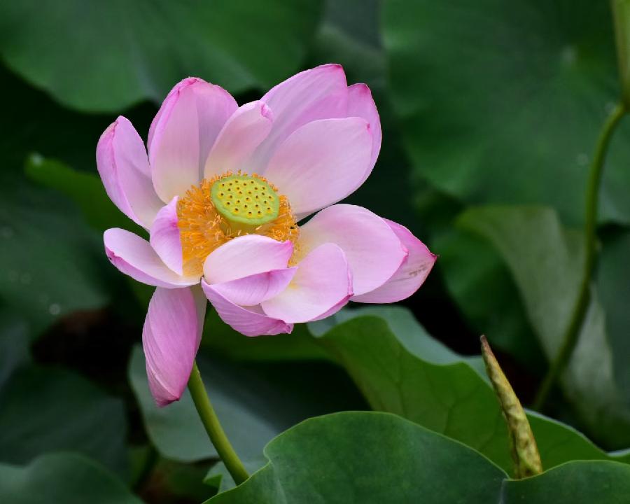 李万丰摄影作品欣赏(图25)