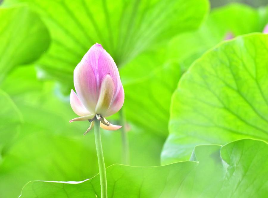 李万丰摄影作品欣赏(图30)