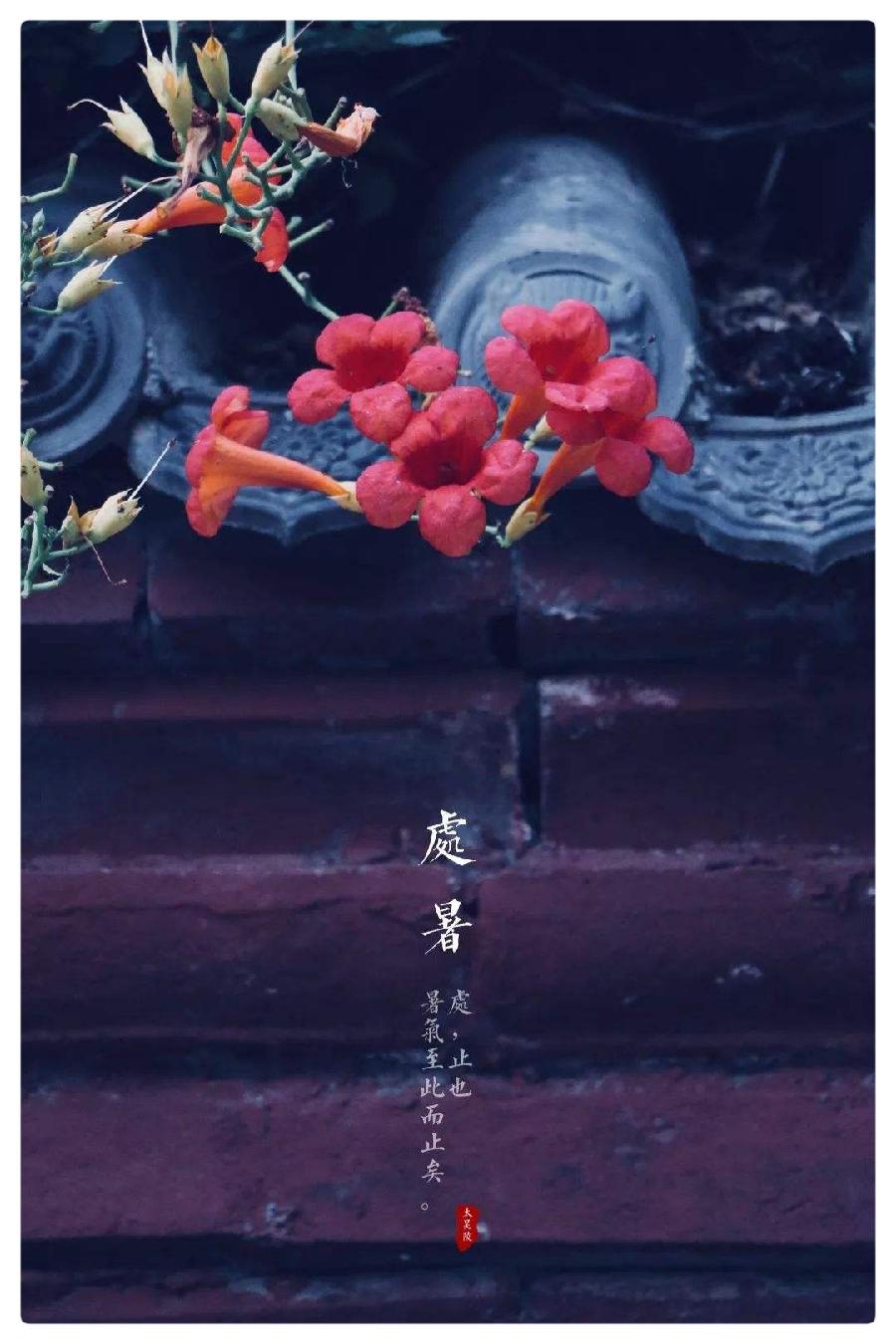 落叶化飞刀割瘦游子,新词《处暑谣》唱碎乡心ll作者:白润岱ll朗诵:费军(图3)
