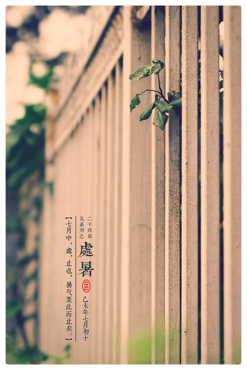 落叶化飞刀割瘦游子,新词《处暑谣》唱碎乡心ll作者:白润岱ll朗诵:费军(图4)