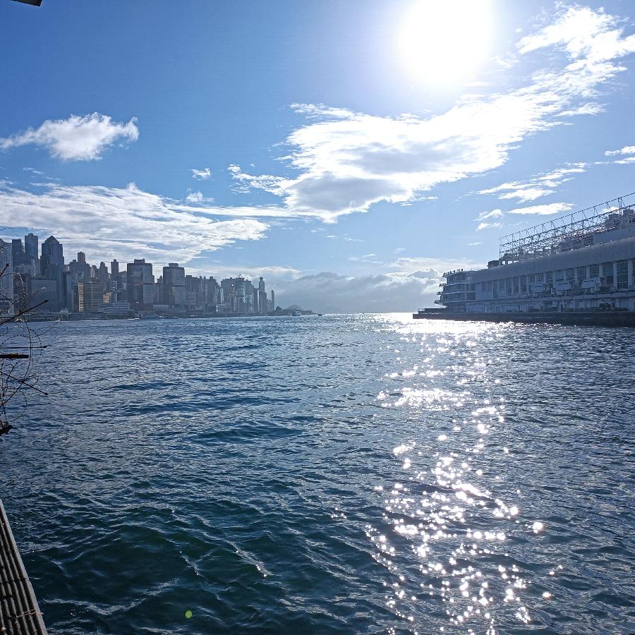 尖沙咀码头观海(图14)