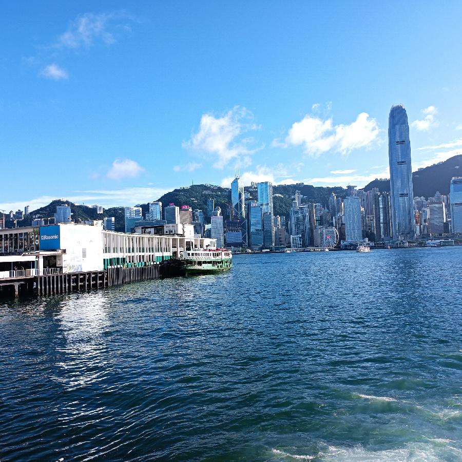 尖沙咀码头观海(图21)