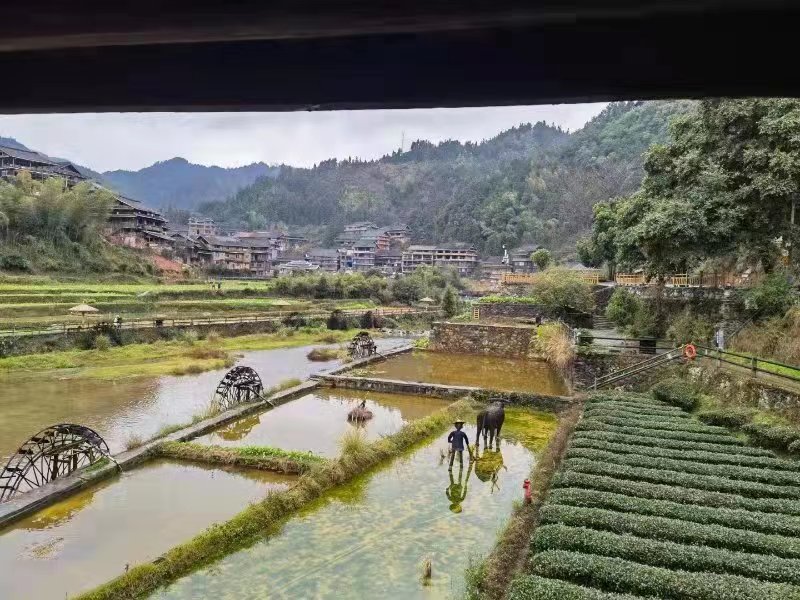 《侗乡程阳好风光》作者:张建国（广西）【冰心文化传媒】（图3）