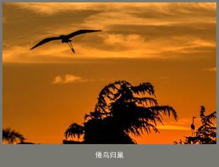 【都市头条】分享胡清普《我的渐晚》请欣赏（图6）