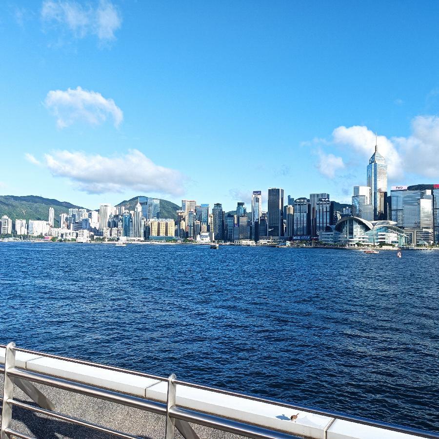 尖沙咀码头观海(图43)