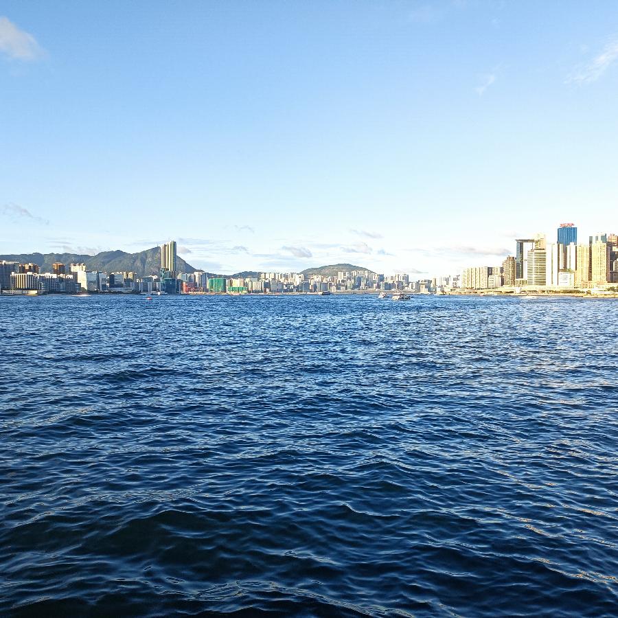 尖沙咀码头观海(图81)