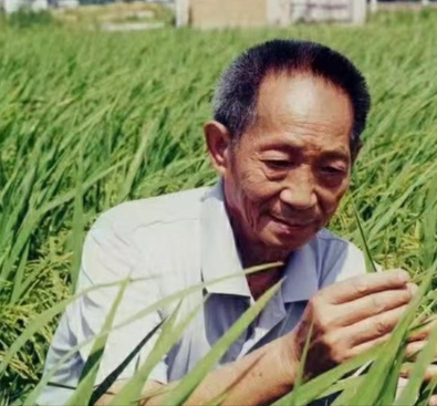 七律：悼袁公隆平殇情/文/赖剑平（图2）