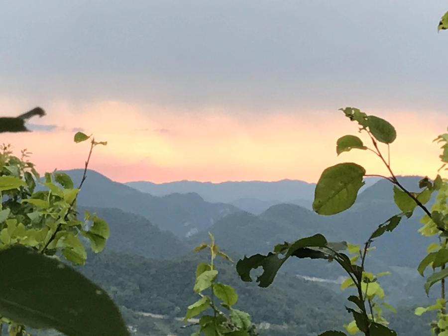 七律 三观尖林场印象/文/程少明