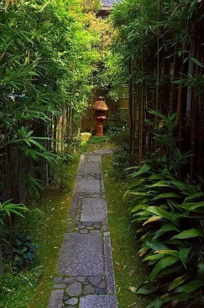方台钓韵(图5)