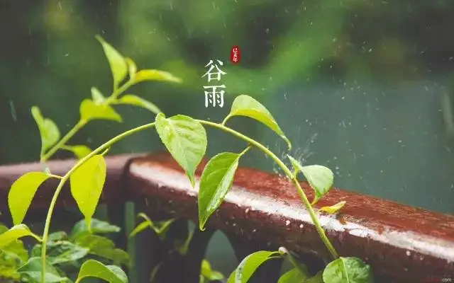 【新诗大观】谷雨之后（三首）||文/老波（河北平乡）