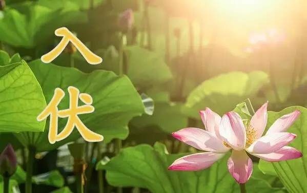 【新诗大观】谷雨之后（三首）||文/老波（河北平乡）（图2）