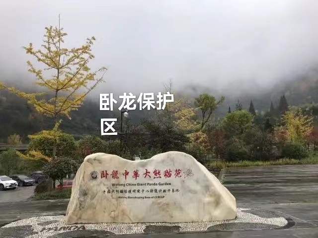 放歌阿坝:作者 丁培恭|海外头条(图11)
