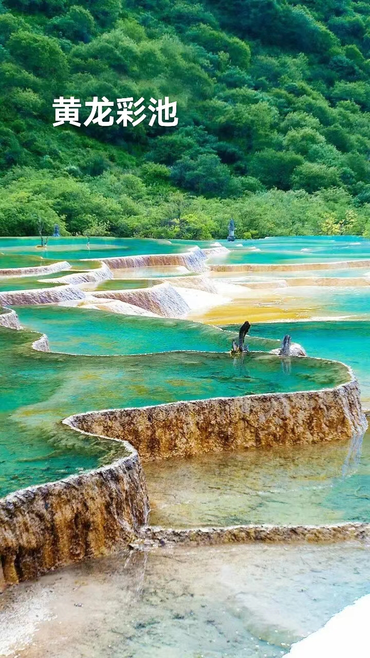 放歌阿坝:作者 丁培恭|海外头条(图10)
