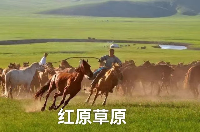 放歌阿坝:作者 丁培恭|海外头条(图15)