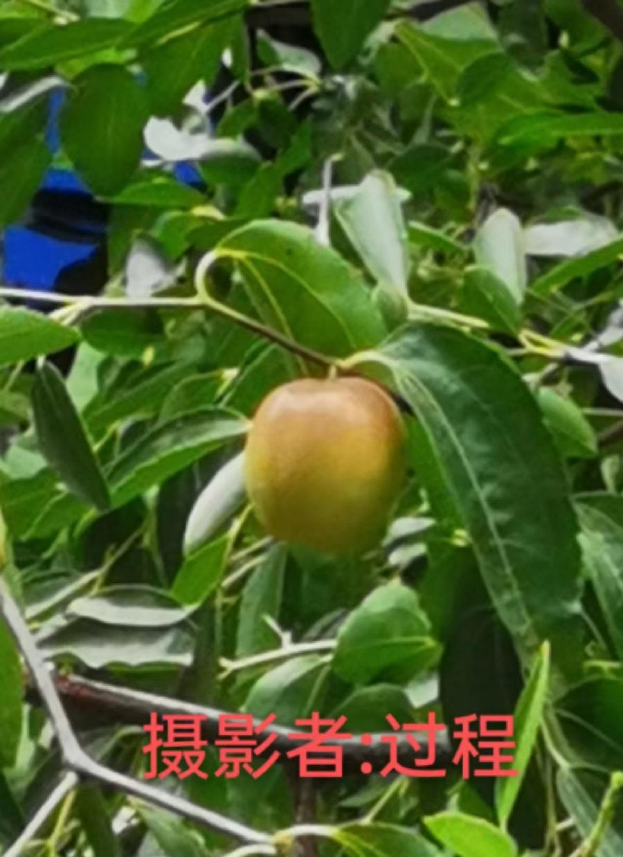 国风上海社第十期诗刊—北京头条(图40)