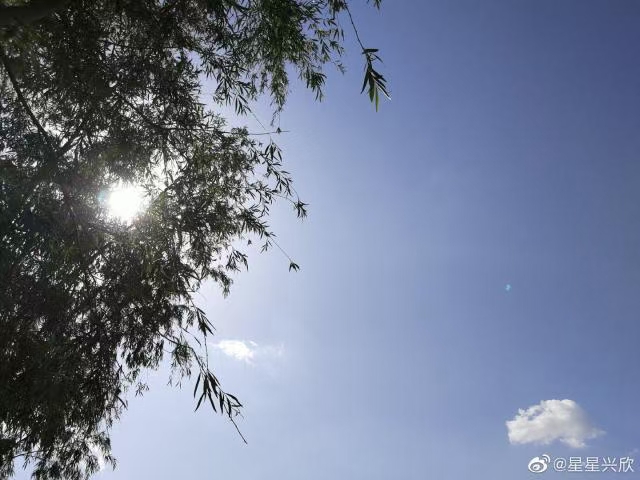 暑热（外四首）文／陇上（徽县）【冰心文化传媒】（图5）