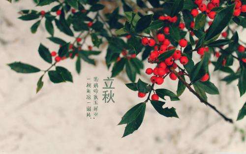 暑热（外四首）文／陇上（徽县）【冰心文化传媒】（图4）