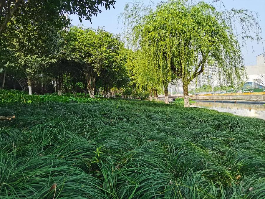 江城子.有感佩洛西窜访台湾（图2）