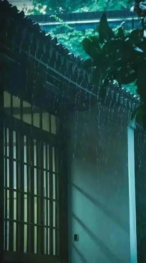 秋 雨‖文图/赵京江，视频/马爱林（图4）