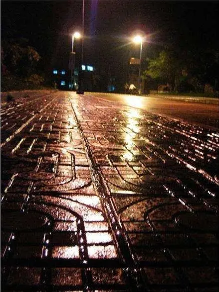 秋 雨‖文图/赵京江，视频/马爱林（图3）