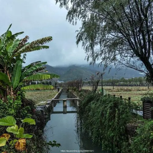 秋 雨‖文图/赵京江，视频/马爱林（图6）