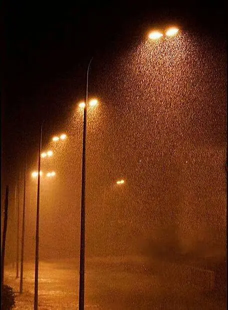 秋 雨‖文图/赵京江，视频/马爱林（图2）