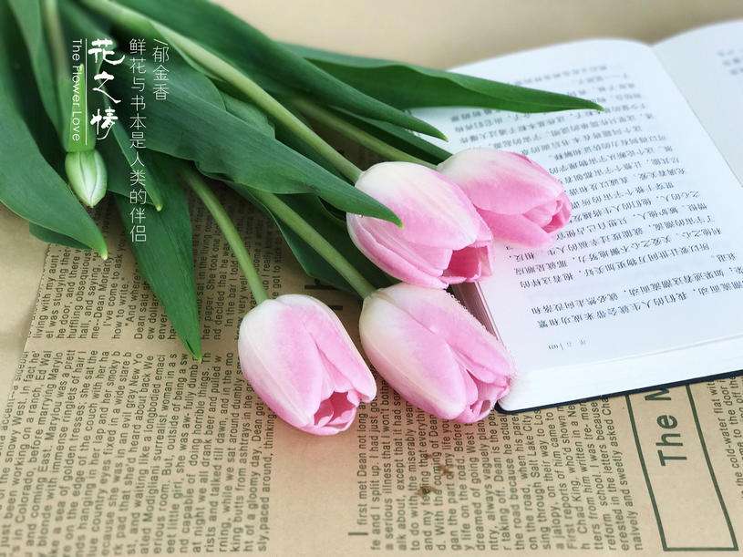 听故事，聊人生 刘水清(湖北汉川)【冰心文化传媒】（图5）