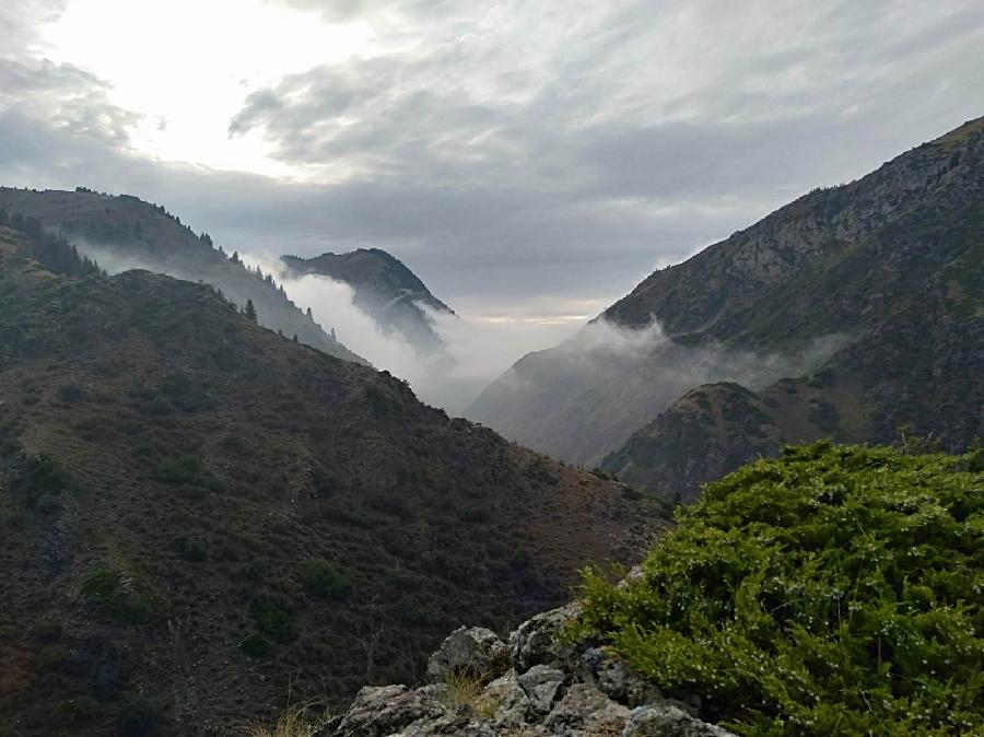 【枫雅汇看图约诗】诗人陈江《171期》(走进大山)(图8)