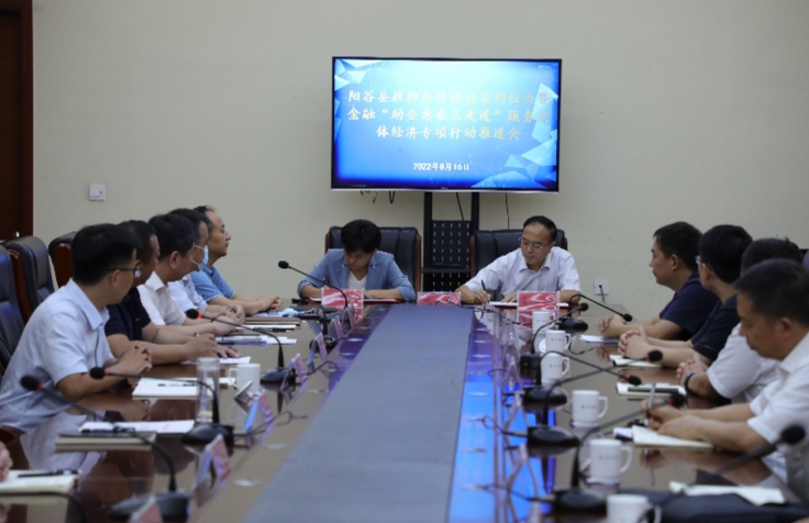 省农担公司领导出席阳谷县政担合作协议签约仪式暨金融“助企惠农三走进”服务实体经济专项行动推进会(图3)