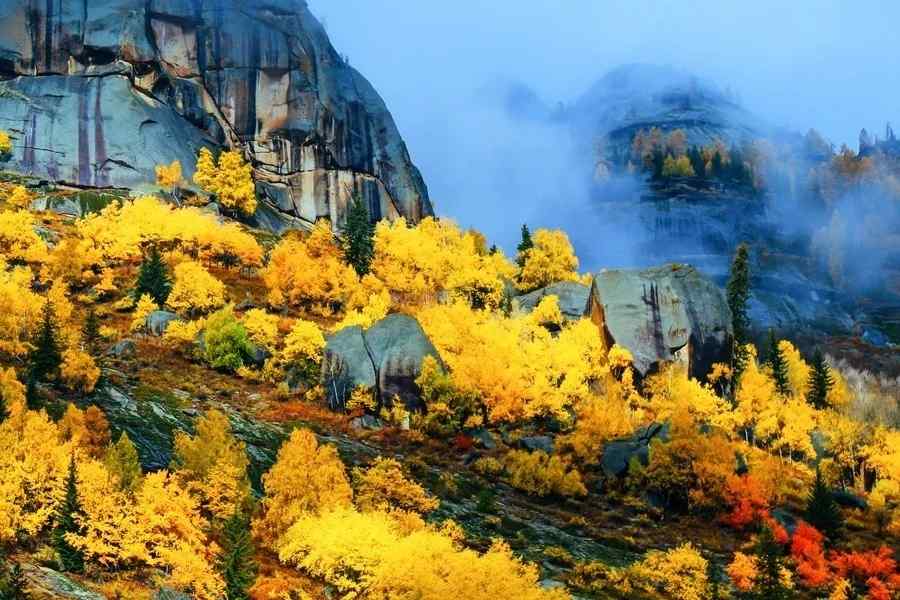 推荐【神州源流诗苑】第721期[优秀近体诗]周刊