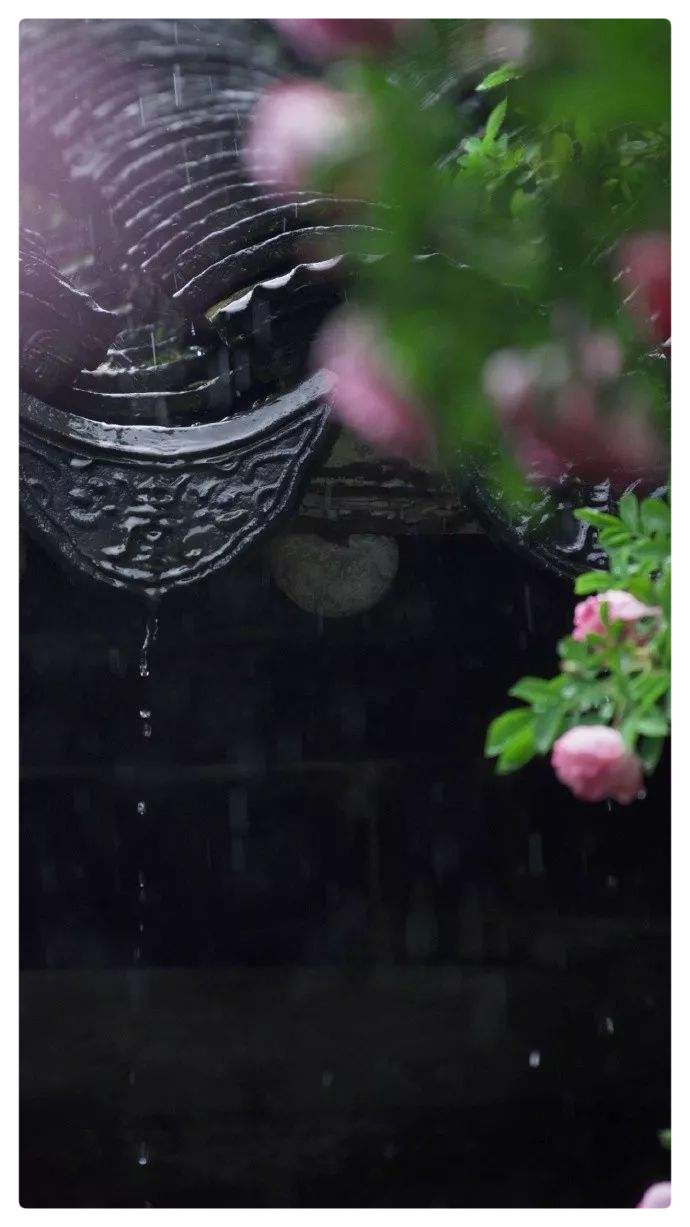 秋雨∥作者／晓犁∥诵读／艾果（图3）