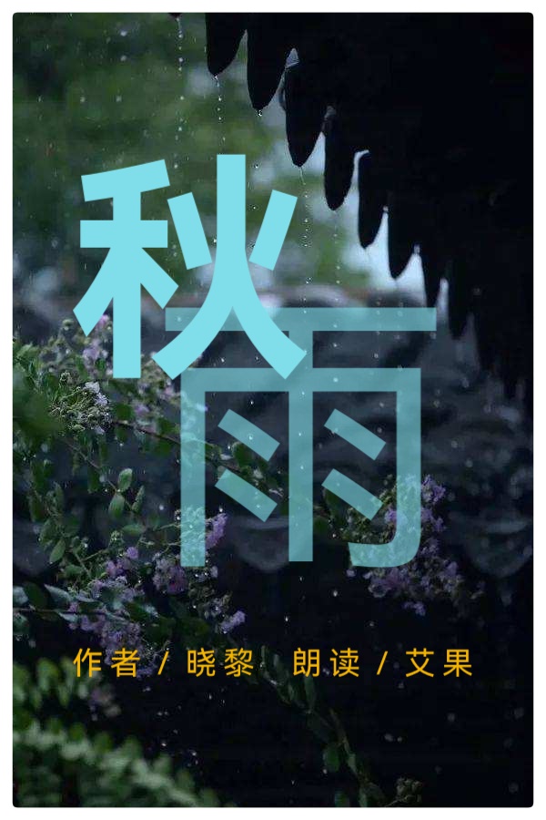 秋雨∥作者／晓犁∥诵读／艾果（图2）