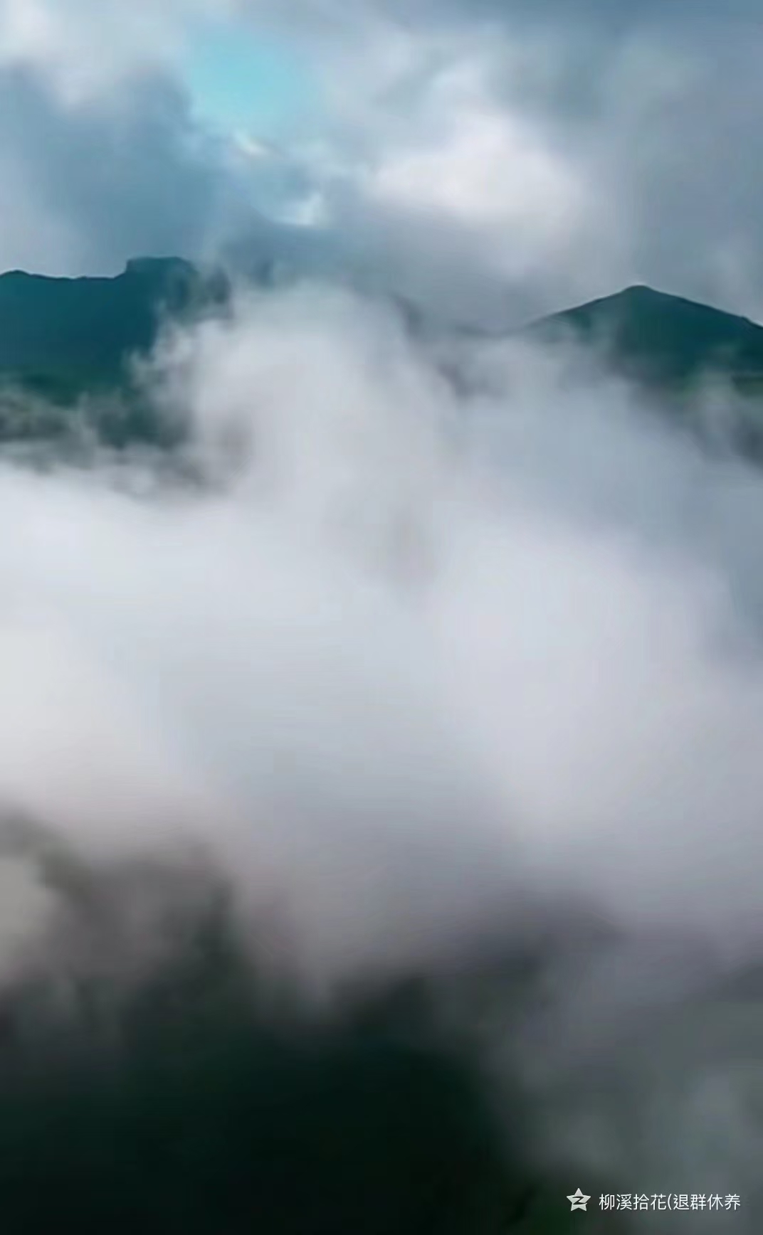 梦傷（外五首） 柳溪拾花（青海）【冰心文化传媒】（图5）