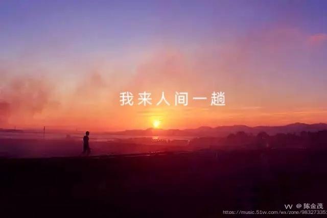 陈金茂|看图写诗(72)蒲公英人生(三首)【冰心文化传媒】(图4)