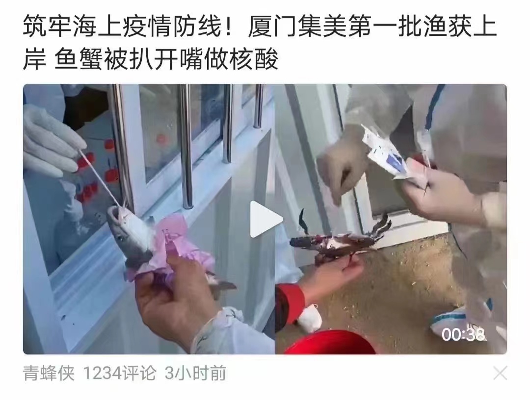 〖诗词小辑〗 王香谷（悉尼）【冰心文化传媒】（图5）