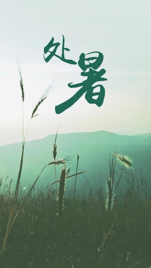 诗人林杨:处暑(图4)