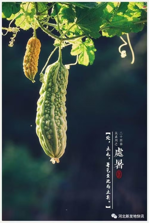 诗人林杨:处暑(图7)