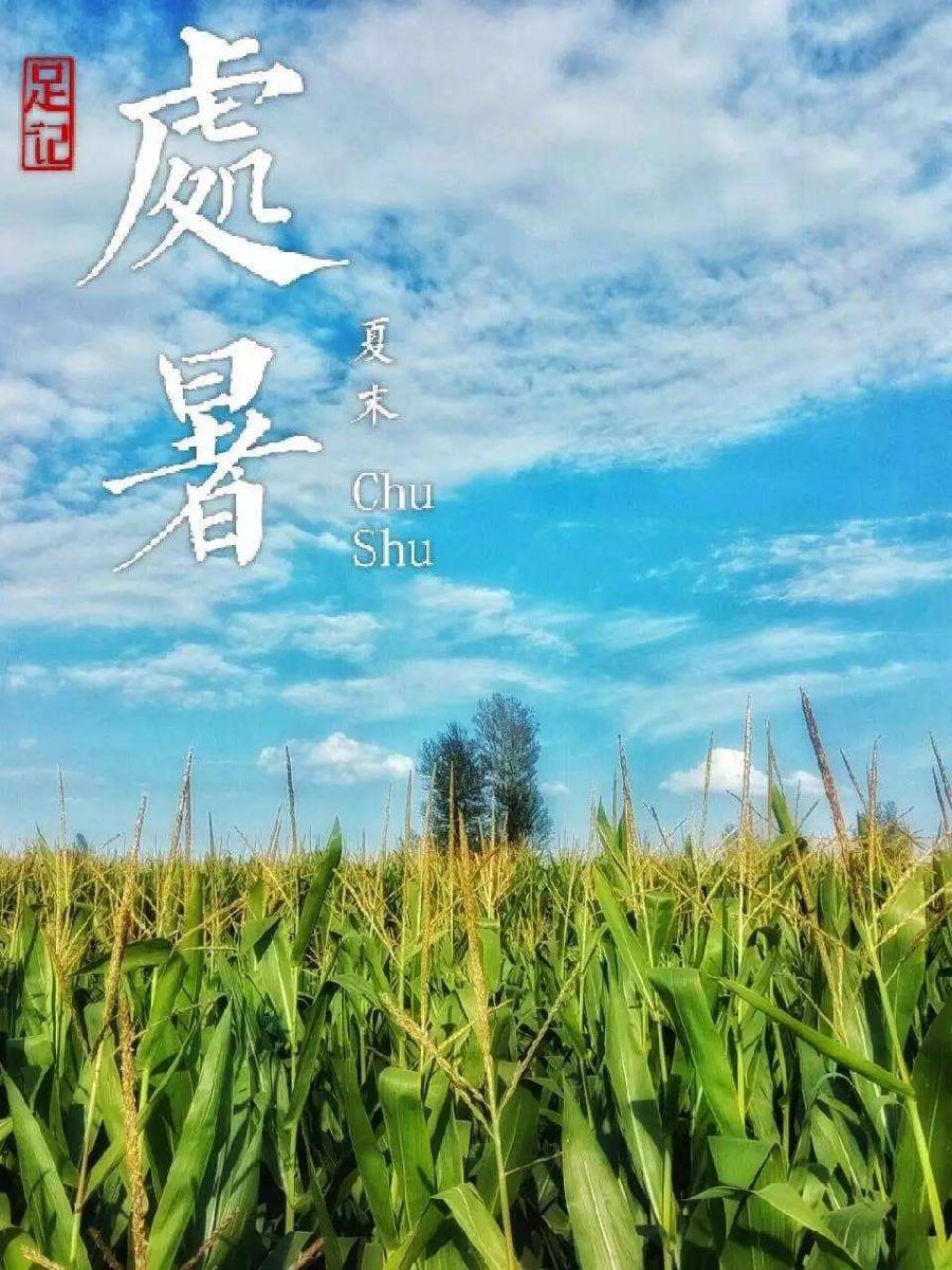处暑抒怀