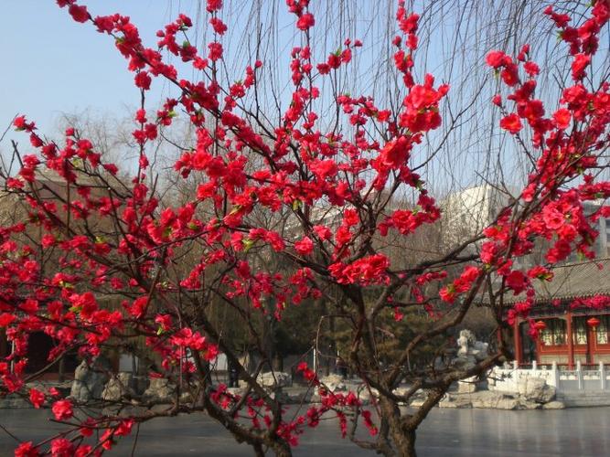 中华诗艺社九江分社·格律诗词精品鉴赏(合辑)第1516期(图28)