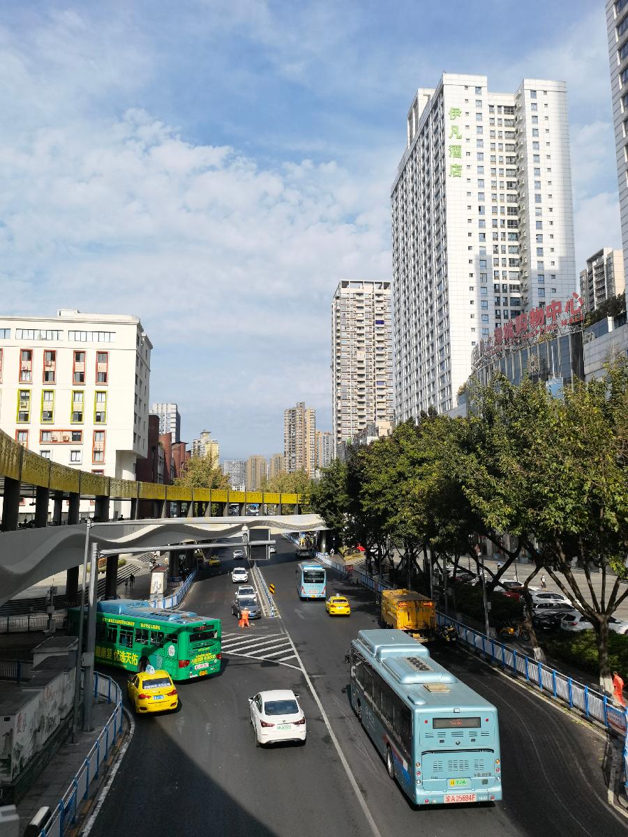 「散文」与秋老虎最后一搏(图6)