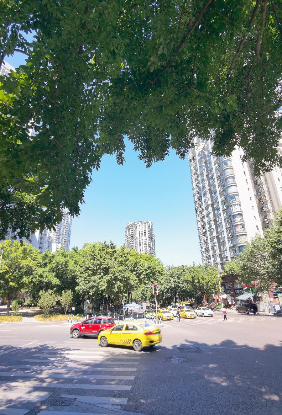 「散文」与秋老虎最后一搏(图22)