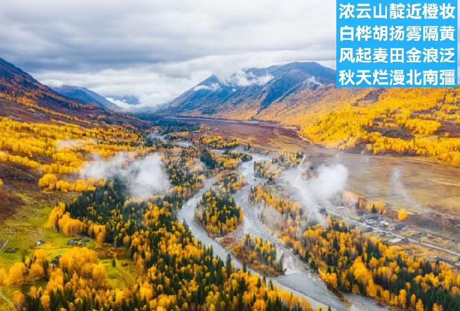 小茶一丛《题图-万亩金色芦苇美》（外一首）诵/殷钰（图3）