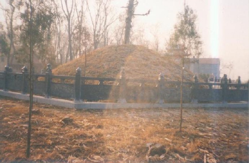 234602153.jpg pp1.jpg